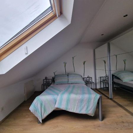 Cheerful Roof Flat In A Private German Style House Apartment Mannheim Exterior photo
